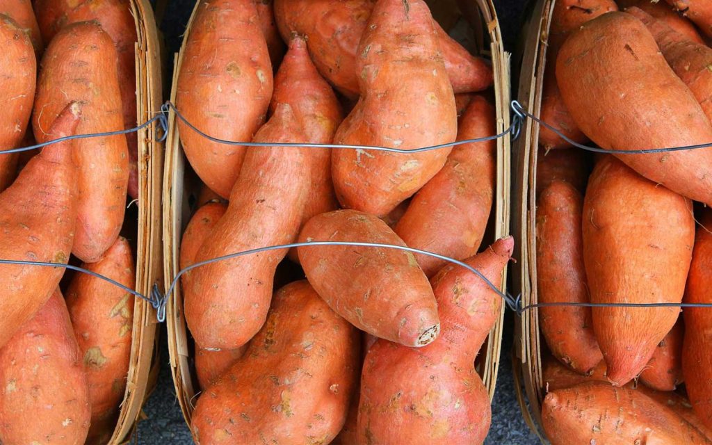 Mississippi Sweet Potatoes: A Tasty Tradition
