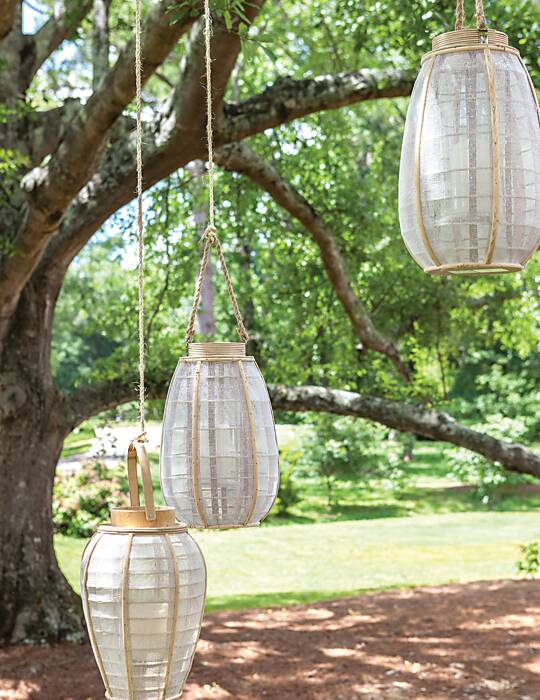 Three paper lanterns hung from a tree