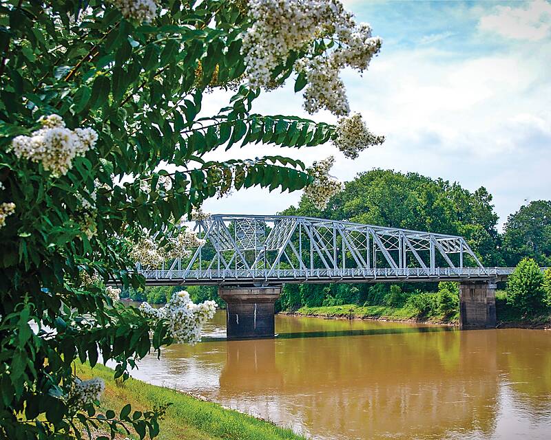 Bridge and trees in Greenwood, Mississippi