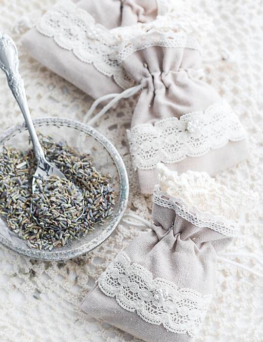 The Legacy of Lace