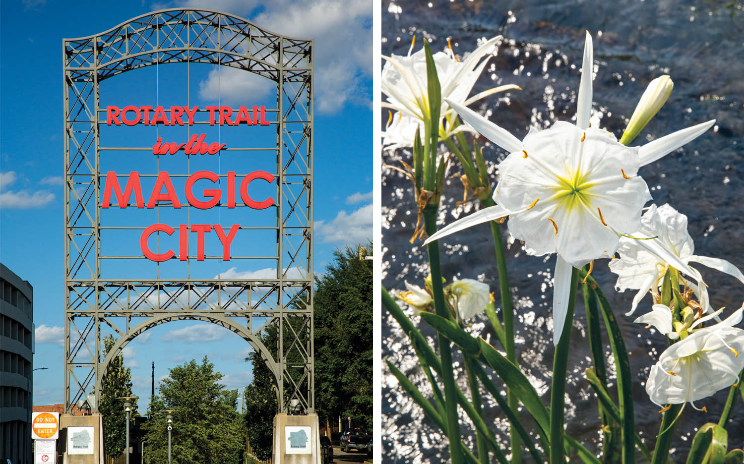 Side-by-side images of Birmingham's Rotary Trail sign and blooming Cahaba lilies