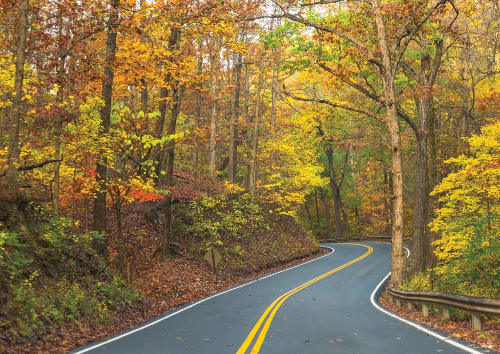 7 Autumn Leaf-Peeping Locales Across the South